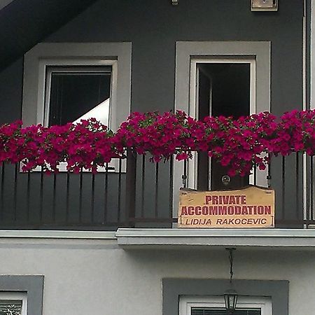 קולאסין Private Accommodation Lidija Rakocevic מראה חיצוני תמונה