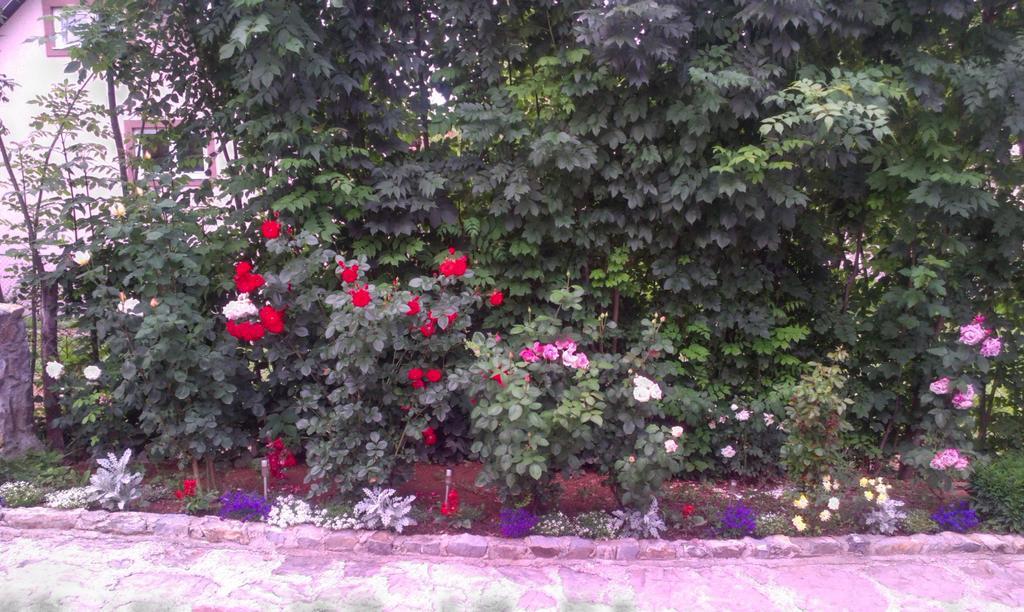 קולאסין Private Accommodation Lidija Rakocevic מראה חיצוני תמונה