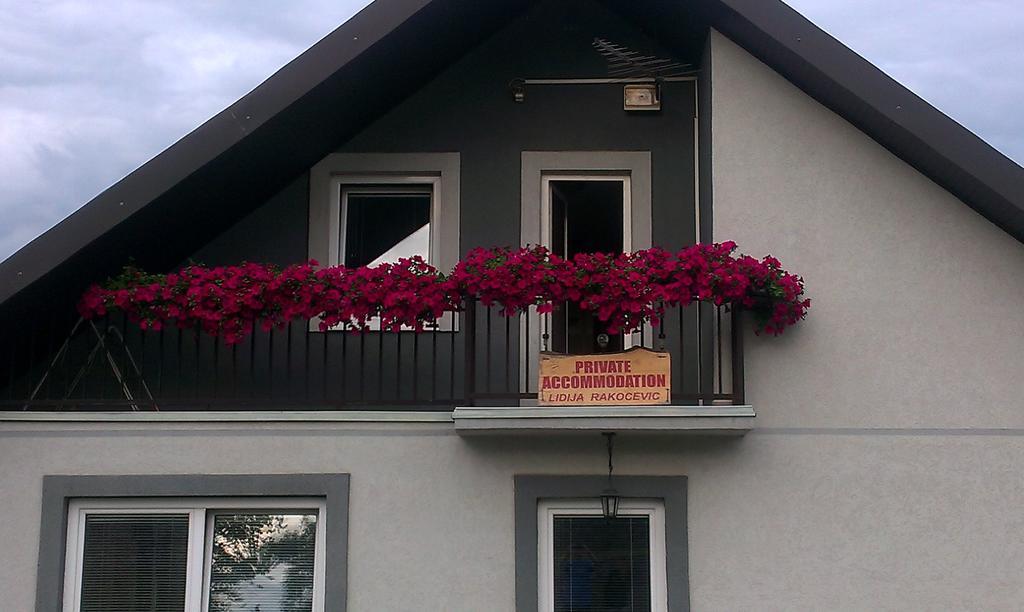 קולאסין Private Accommodation Lidija Rakocevic מראה חיצוני תמונה